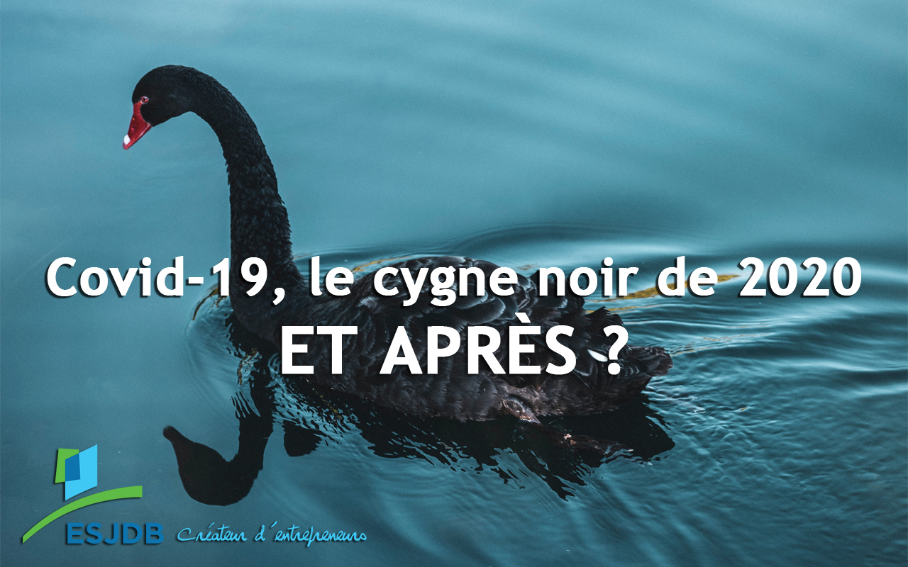 OVID19, cygne noir 2020 – Rencontre Mercredi #5 – 29 avril ESJDB OVID19, cygne noir 2020 - Rencontre Mercredi 29 avril ESJDB