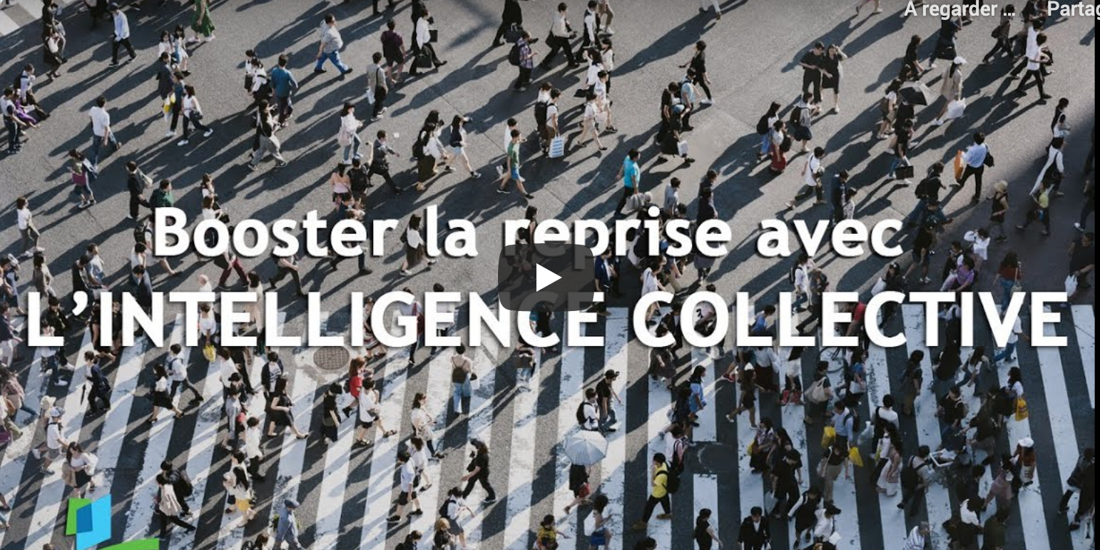 pensee-systemique-mercredi#10