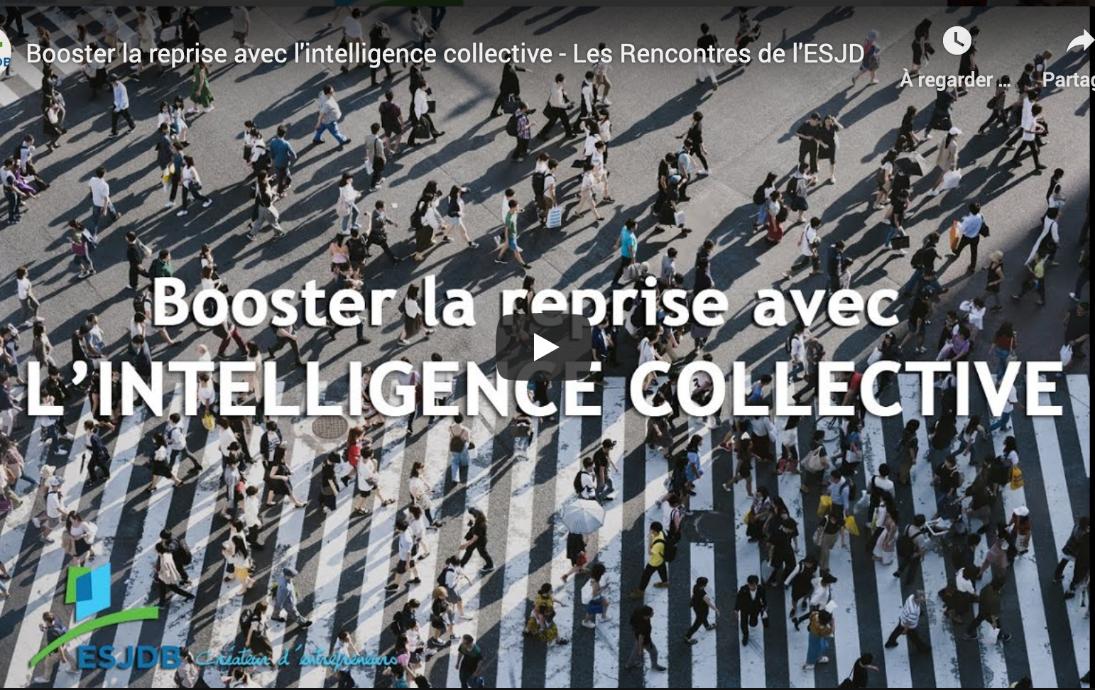 pensee-systemique-mercredi#10